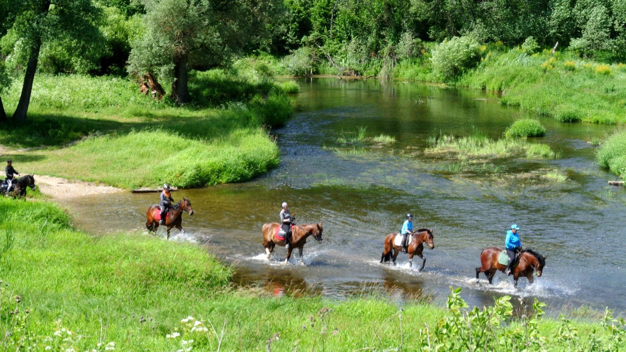 Парк Рождественно